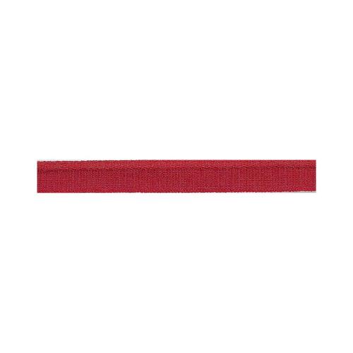 PASSEPOIL STRETCH 10 MM ROUGE